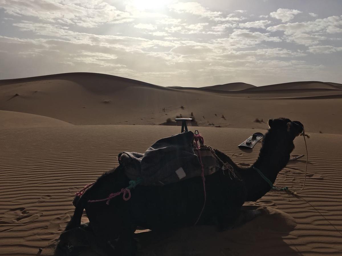 מחמיד Camp Desert Stars מראה חיצוני תמונה
