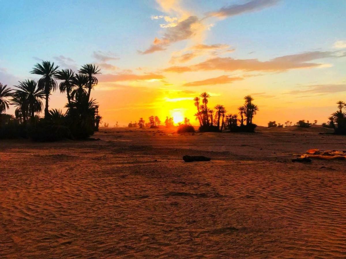 מחמיד Camp Desert Stars מראה חיצוני תמונה